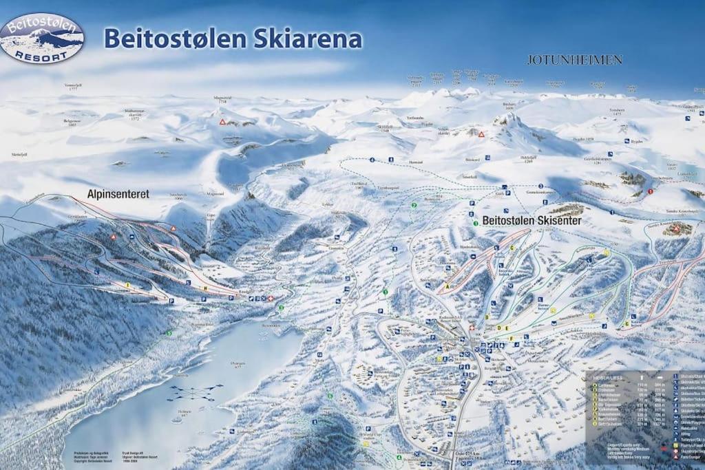 Peaceful Oasis. Panoramic Forest- & Mountain View. Sauna. Beitostolen المظهر الخارجي الصورة