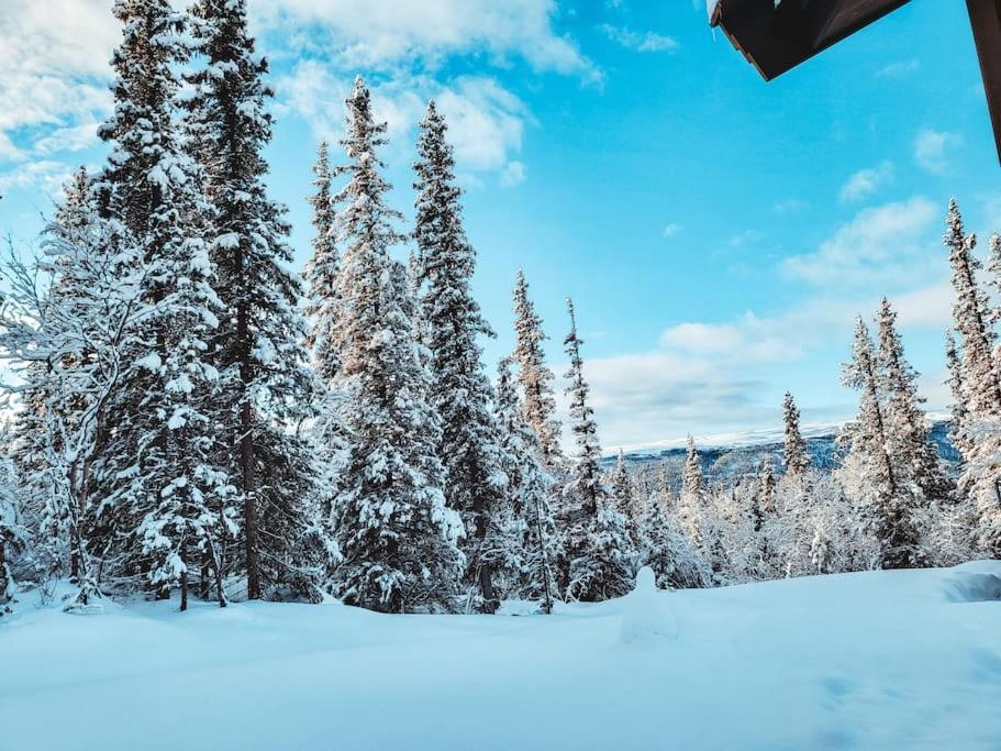 Peaceful Oasis. Panoramic Forest- & Mountain View. Sauna. Beitostolen المظهر الخارجي الصورة