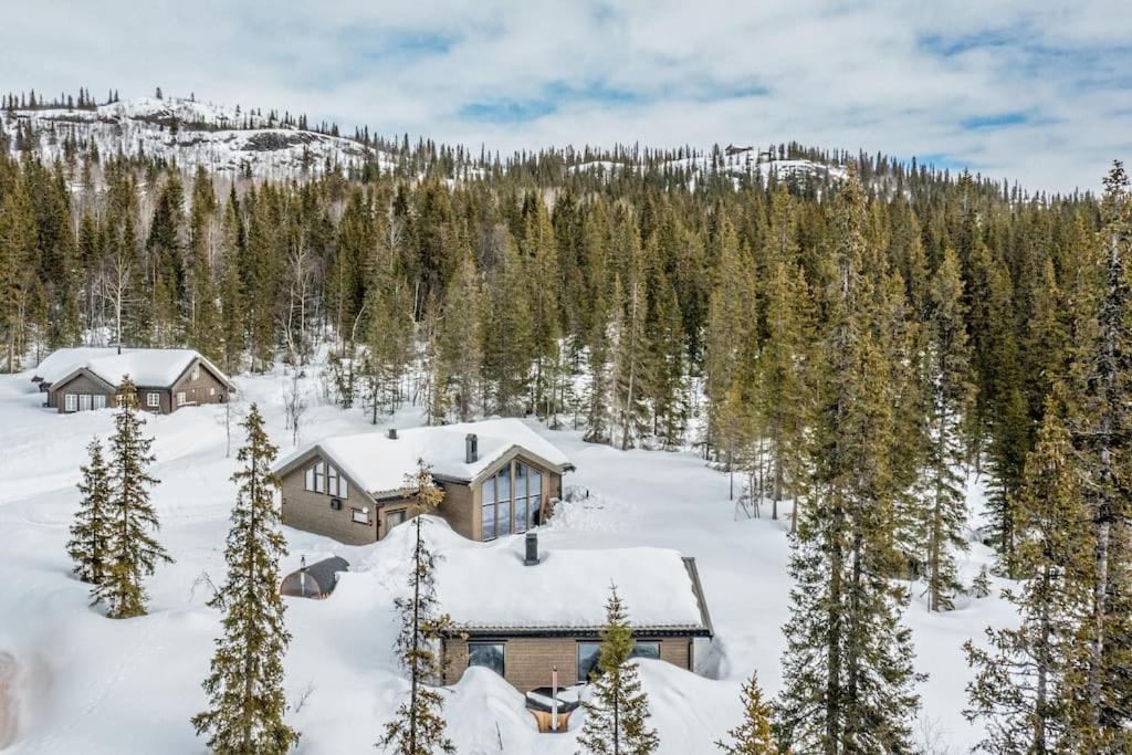 Peaceful Oasis. Panoramic Forest- & Mountain View. Sauna. Beitostolen المظهر الخارجي الصورة